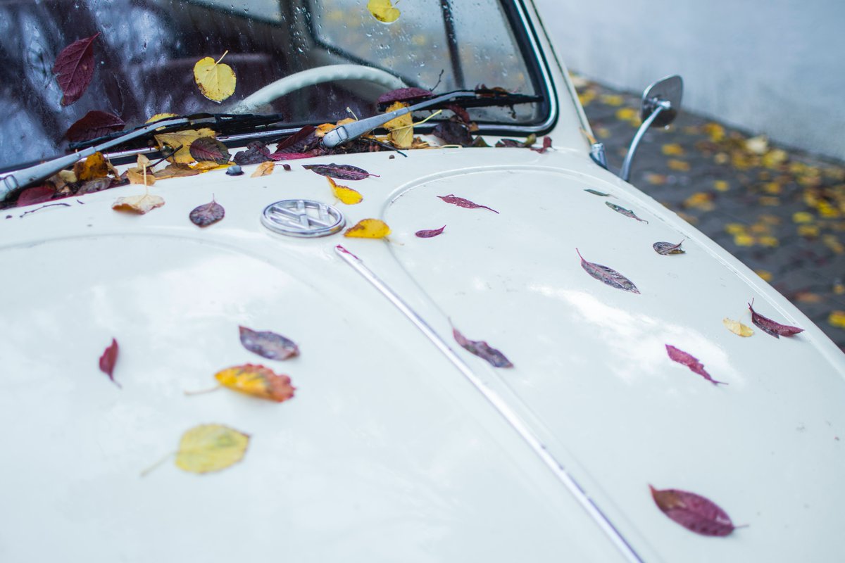 Orb_Tweets's tweet photo. Fall firsts are some of the best: first cup of hot cocoa, the smell of the heat kicking on for the first time this year, first crisp morning brushing leaves off the car. 🍁 // What's your favourite thing about fall? #OrbLife https://t.co/KeupJ1QSck