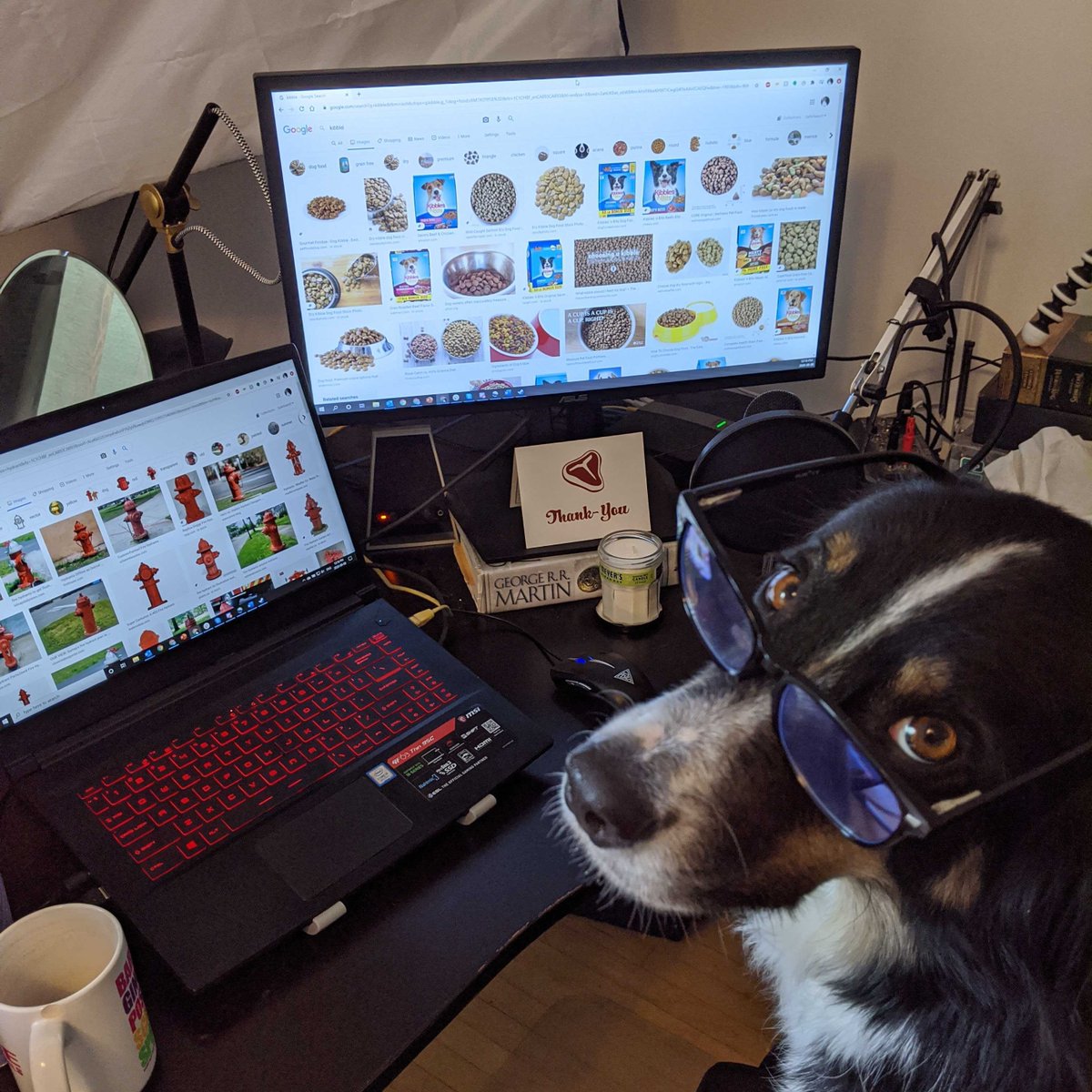 RedMeatGames's tweet photo. After a long weekend of hikes, Ripley is back at the grind and making sure all of his Red Meat projects are on track.
#redmeatgames #rmg #gamedev #indiegamedev #devathome #wfh #workfromhome #pets https://t.co/jxmdeMkC8X
