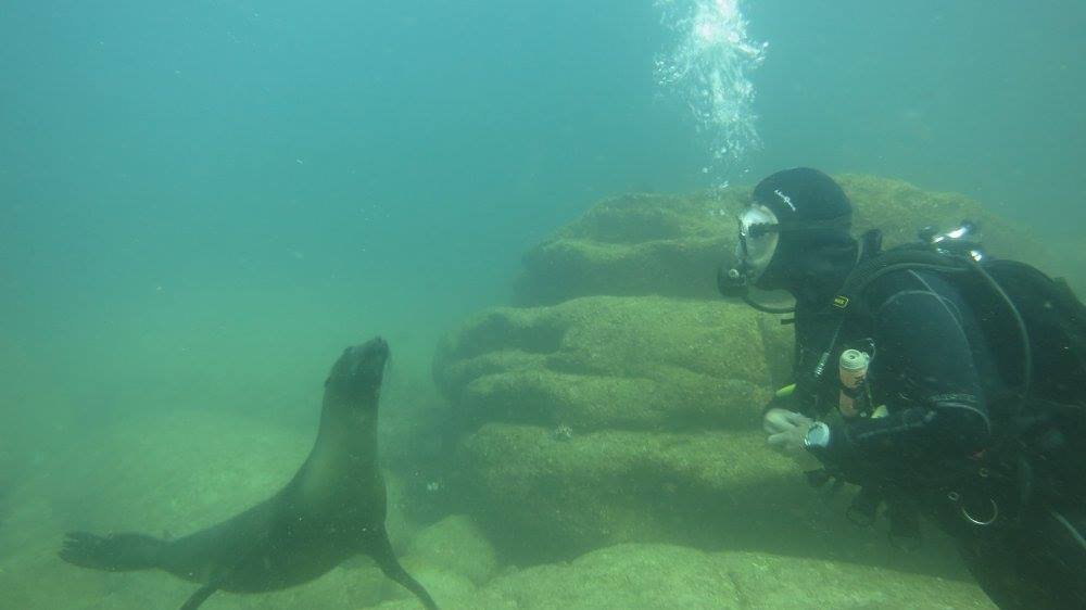 Hanging out with a baby sealion, Sea of Cortez, Mexico.  #soapbubbles
