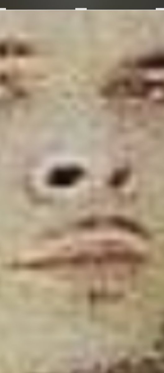 DiddnDuNuffin's tweet photo. #shaunking Dude wants to be black so bad! Look at him flaring his nostrils LOL!!! #WiggaPlease https://t.co/6sReF7TuHi
