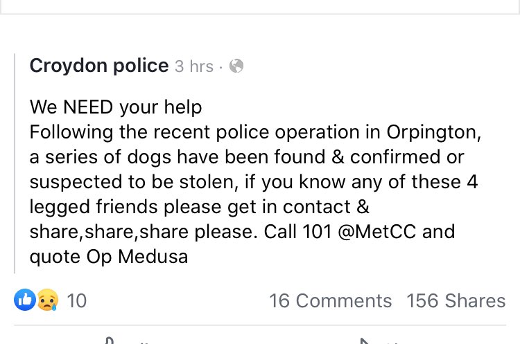 ChewieBebe's tweet photo. !! ** Pals, this important! You might recognise one of these dogs or be able to share further afield than we can to try reunite them with their owners ๐๐ป
#dogs #dogsoftwitter #dogslost #stolendogs ** !! https://t.co/lZnaIR0kbK