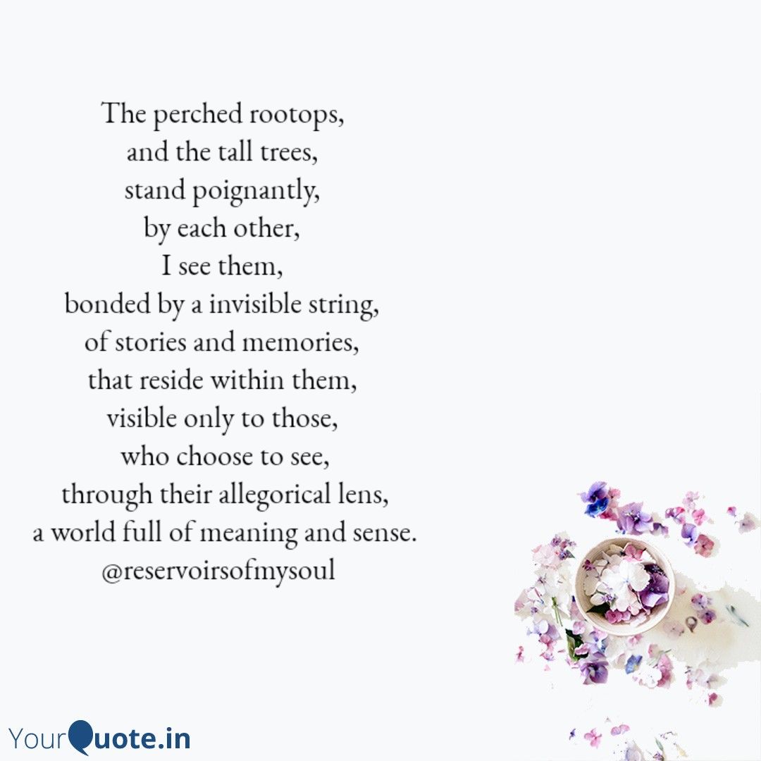 Happy birthday Mary Oliver  