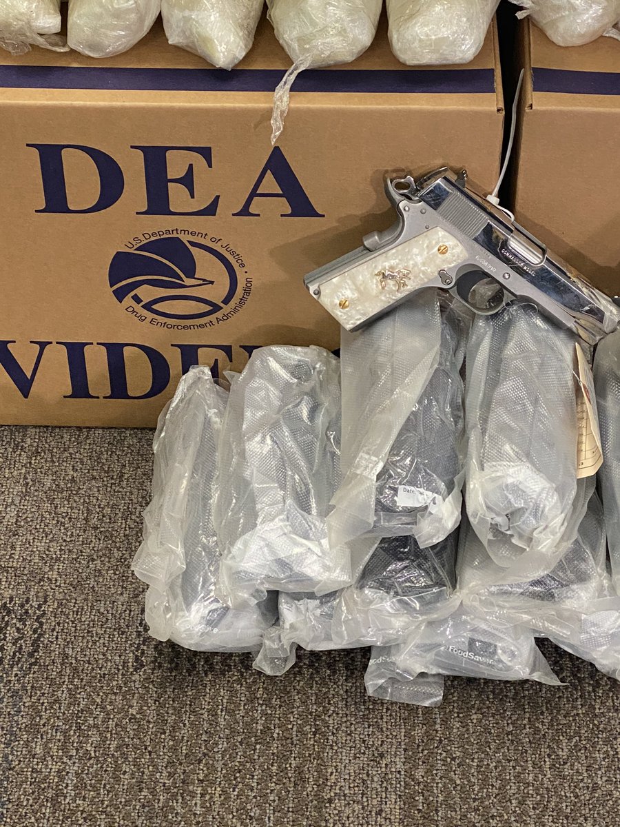 Katie Pavlich tweet media