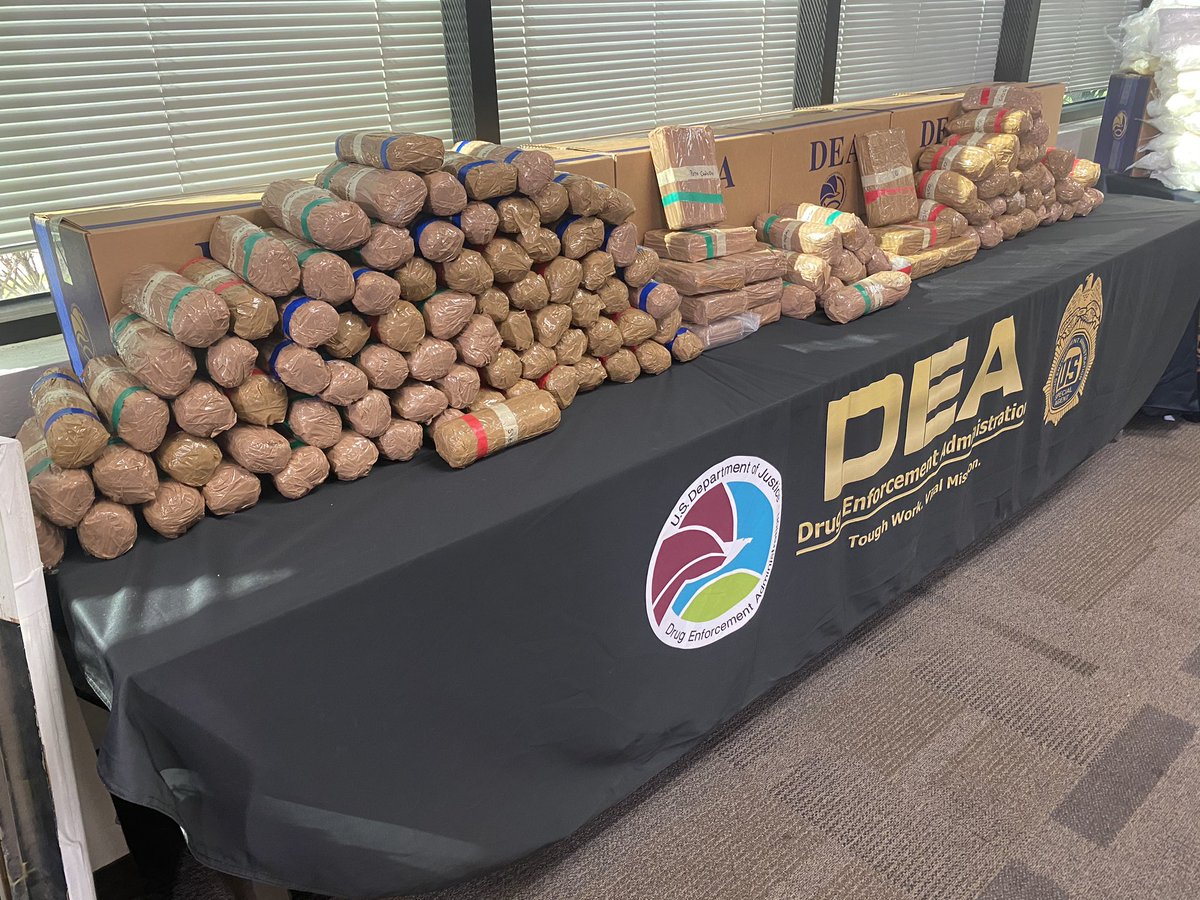 Katie Pavlich tweet media