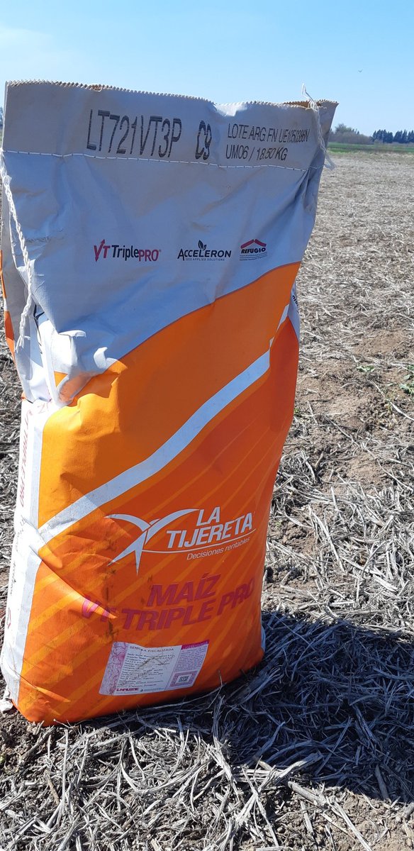 leonatalini's tweet photo. Pusimos primera!!! Primera tecnología,  calidad y rendimiento!! LT + Adengo!!  @Bayer4CropsAR Ramallo - Pcia Bs As.. https://t.co/w44xAaMut1