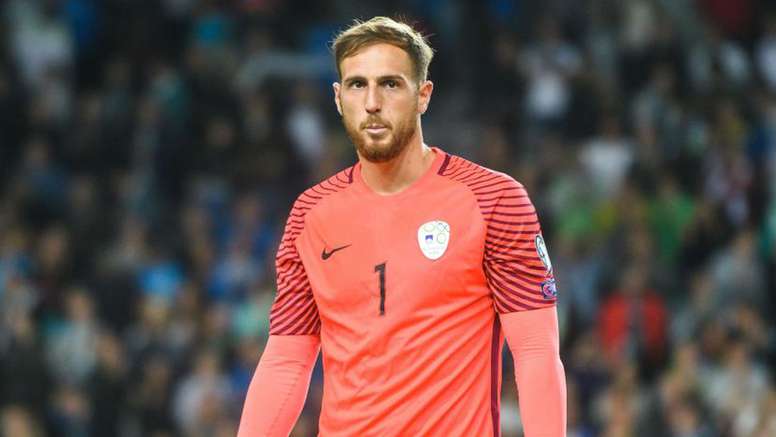 Malgré une qualification pour la Coupe du Monde 2010 et l'émergence de nouveaux talents, comme le gardien Jan Oblak, ce n'est pas par le football que la Slovénie va construire ses + grands exploits sportifs collectifs.