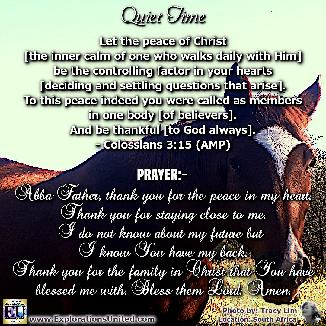 Explorations_U's tweet photo. Let the peace of Christ [the inner calm of one who walks daily with Him] be the controlling factor in your hearts. To this peace indeed you were called as members in one body. And be thankful.
-  Colossians 3:15

#EUQT2: https://t.co/px4S3n8PLE https://t.co/1EOZt6JSnR