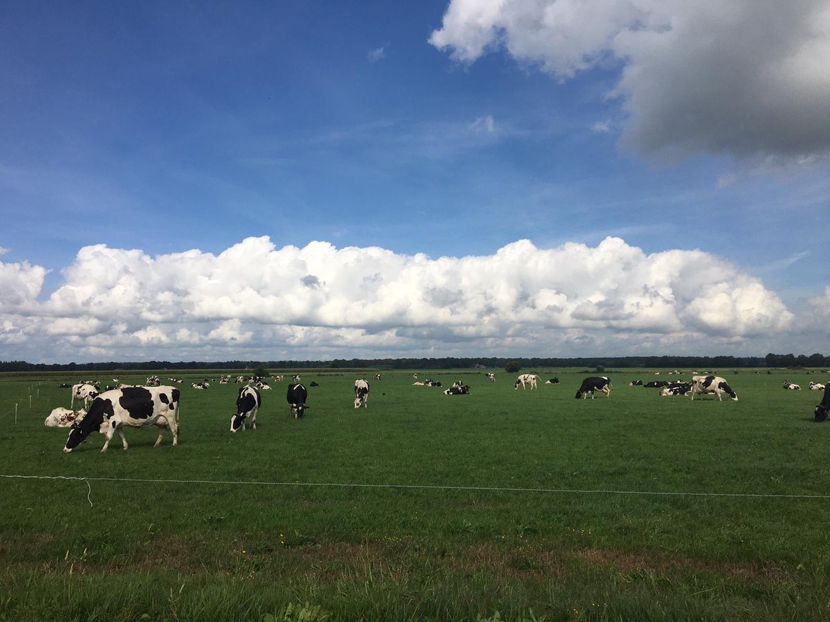 Michielagri's tweet photo. @bhietberg @Amazing_Grazing @BertPhilipsen Inspirerende dag voor ons als Weidecoaches van  @DLVadvies https://t.co/5pM52NRd75