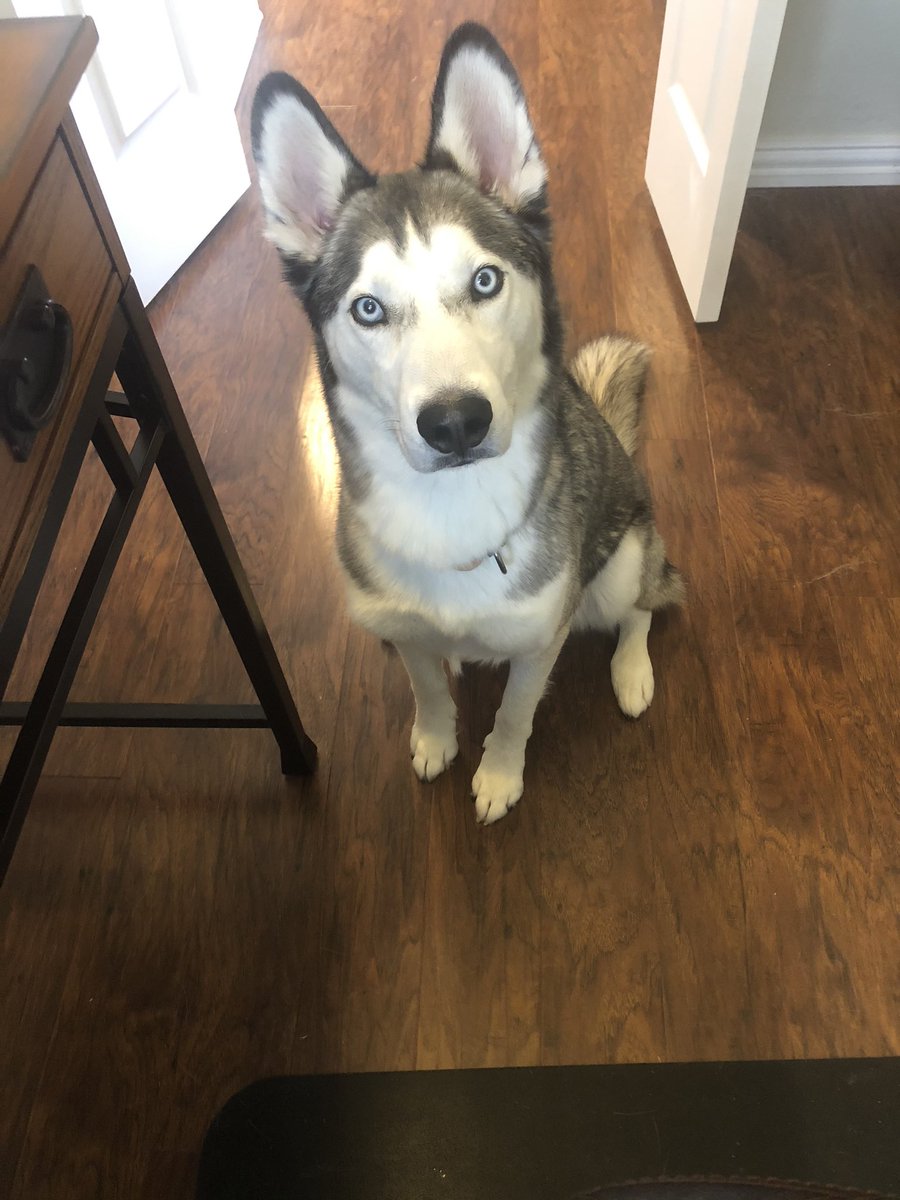 Travis Gatzemeier, CFP® tweet media