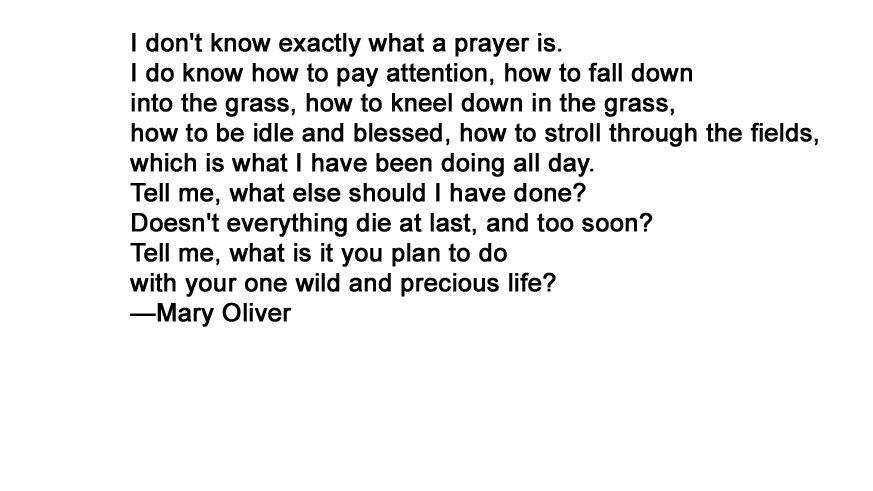 Happy Birthday Mary Oliver  