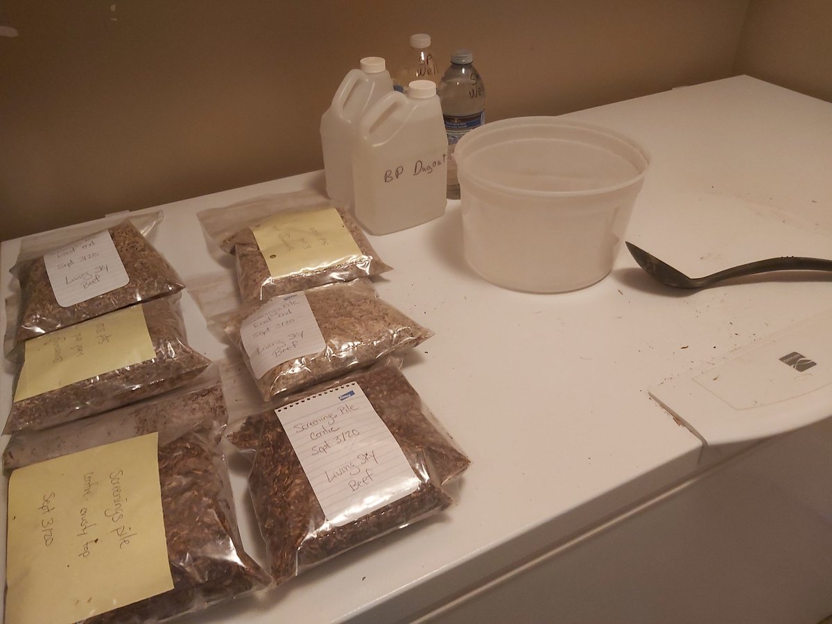 LCT969's tweet photo. Getting feed and water samples ready to send to the lab. Results will allow us to balance rations so that our cattle recieve the nutrients they need to grow and maintain health! #feedtest #cdnbeef https://t.co/OFpGhekaBp