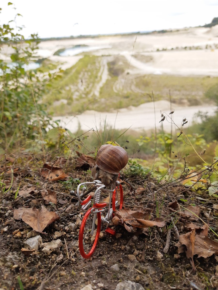 bikeAlottle's tweet photo. TdF - Tour de Faxe
Marc Hirshell from Team Sunsnail soloed to victory on stage 12, sliming off alone the last 30 meters of this longest stage of TdF this year, with its 218 meters ππ΄
#TdFaxe #KeepSnailing #creatingsnailmemories https://t.co/Uiq6fQJC5d