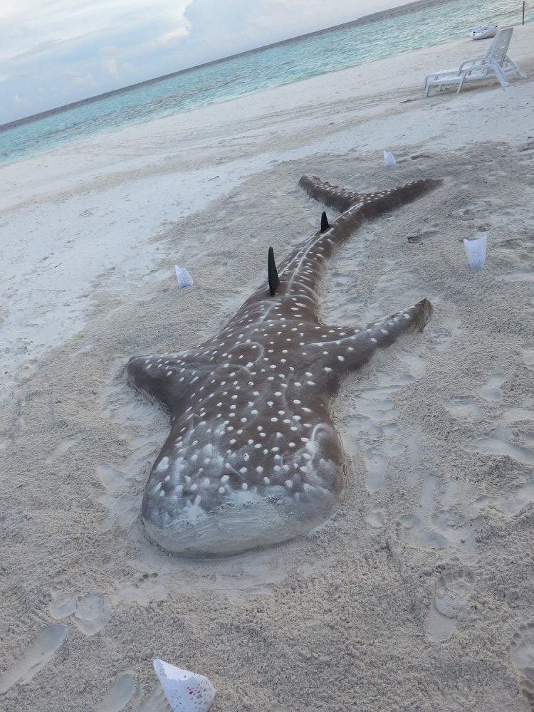 We made a sand whale shark.  #soapbubbles