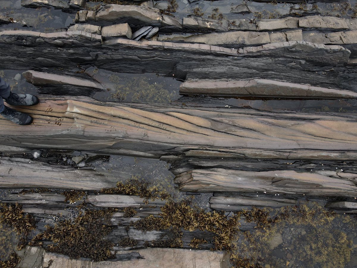 HBrommecker's tweet photo. I will forever be excited to see climbing ripples 😍Look how gorgeous these ones are! Found in the Cloridorme Fm. of Petite-Vallée, QC #Fieldwork https://t.co/v4dknpDvdp