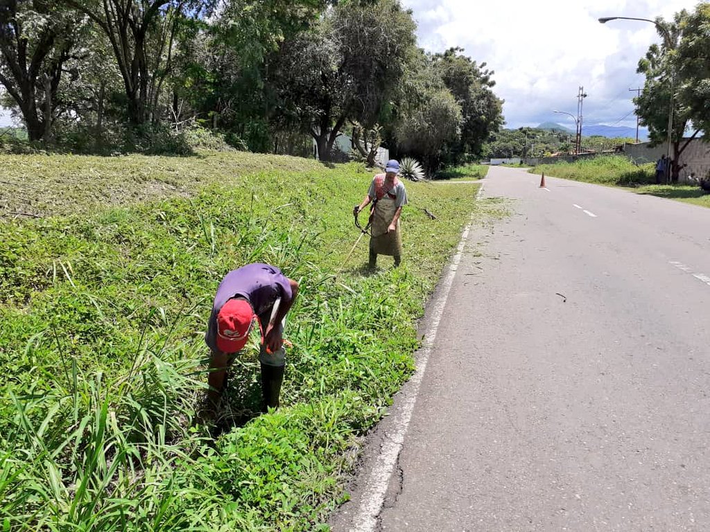 FelixR_JPSUV's tweet photo. #10Sept| Seguimos trabajando en el mantenimiento de nuestro Municipio y como parte de la primera fase del embellecimiento de nuestras entradas, las cuadrillas se desplegaron en una jornada de limpieza a lo largo de la vialidad de acceso a nuestra población. https://t.co/j6eqDOkIKU
