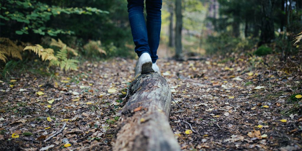 realty828avl's tweet photo. Have you been hiking anywhere interesting lately? #hiking #hikeavl #asheville #avl #brparkway 😁 https://t.co/N7VQzv6mb3