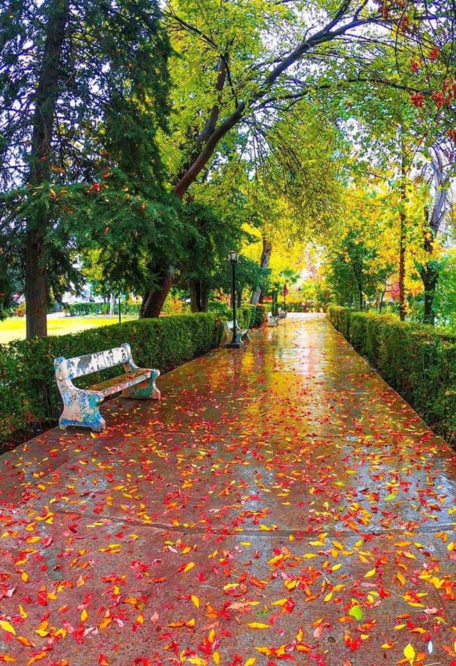 HayvKurdish's tweet photo. #Kurdistan  #اقليم_كردستان 😍😍 https://t.co/6anpiHlTLH