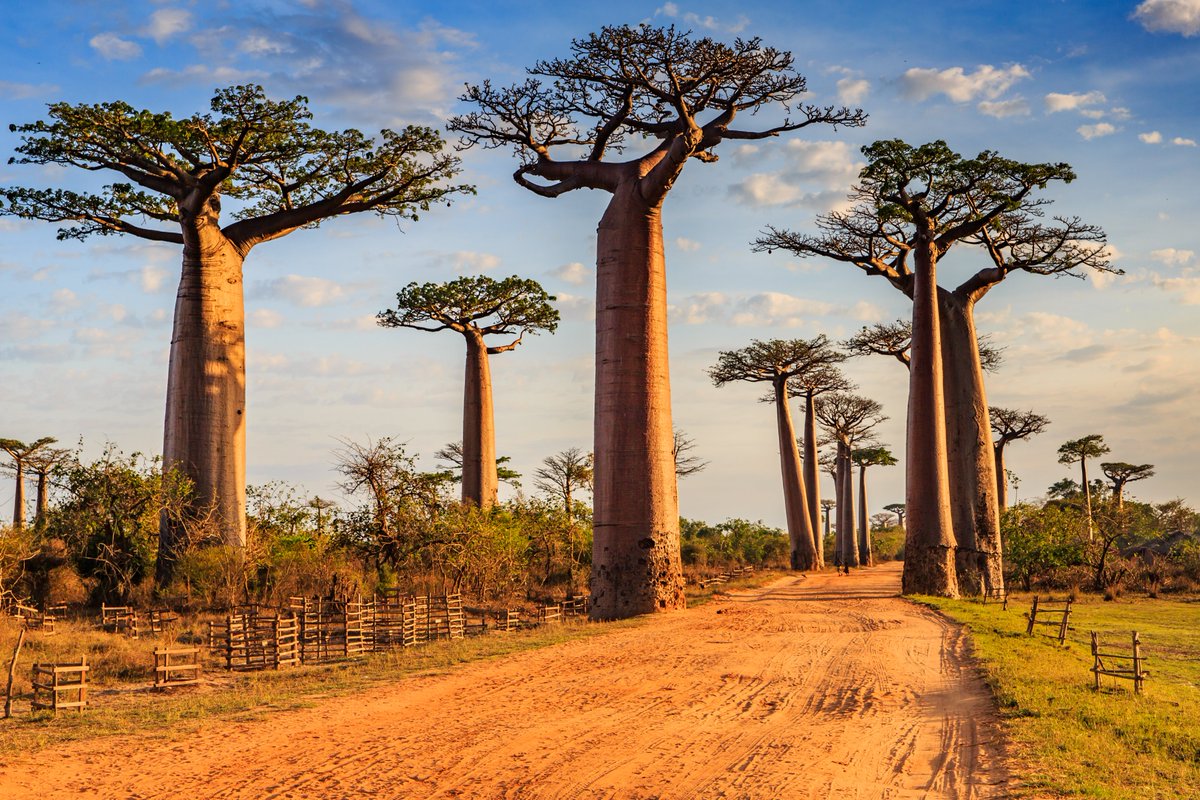 OfficialXYO's tweet photo. Geotoken #3 is set to go to its new owner later today. Encompassing Southern Africa, Madagascar, Australia, New Zealand, Papua New Guinea, Indonesia, and Fiji, this geotoken was valued more highly even than Geotoken #1 at one point. 

Check it out here: https://t.co/f2RJefdgo3 https://t.co/cGotbrJzqd