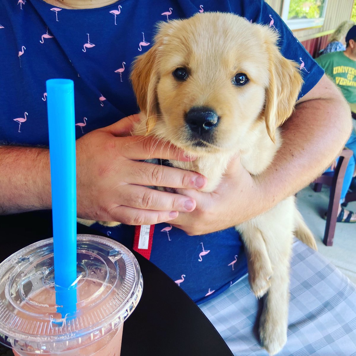 cklach92's tweet photo. I just want to be a stay at home dog mom.😍 https://t.co/RtQjo1wItT