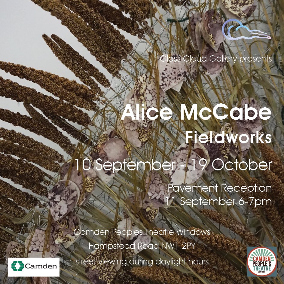 _GlassCloud's tweet photo. We are excited to present two new solo exhibitions by @HannahLuxton_ and Alice McCabe @CamdenPT. Both artists share nature as a source of inspiration. Pavement reception THIS Friday! All welcome but please use social distance. https://t.co/3qrxw0XZEh
#windowgallery #IRL https://t.co/J0tfQl5ws4