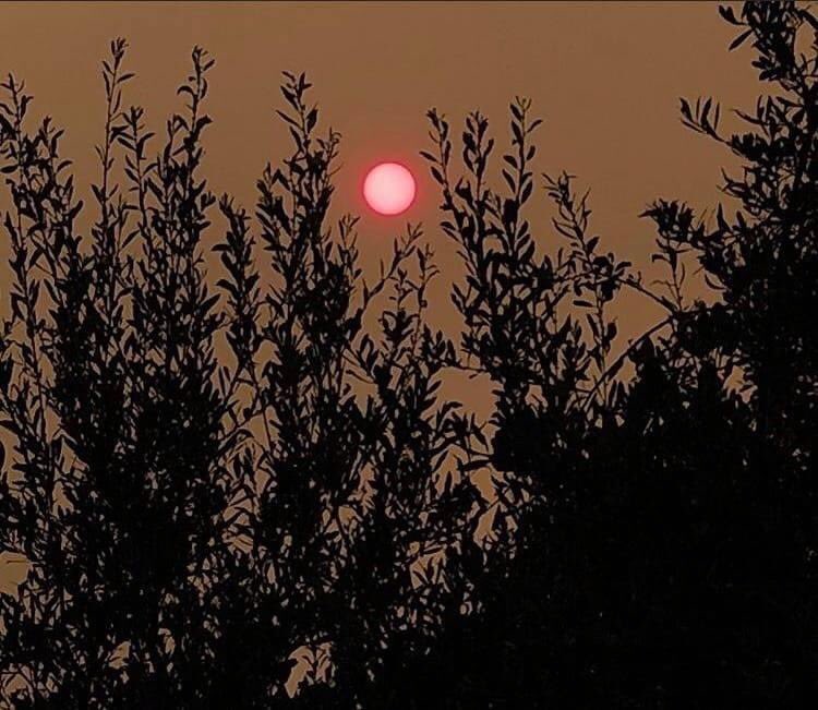 📢🔥📢🔥Call to action! 📢🔥📢🔥We are immediately accepting emergency donations for folks impacted by the fires. Current prioritization is supporting the Klamath Tribes, refugees fleeing fire, migrant farm workers and houseless in portland. See thread for drop off spots.👇👇
