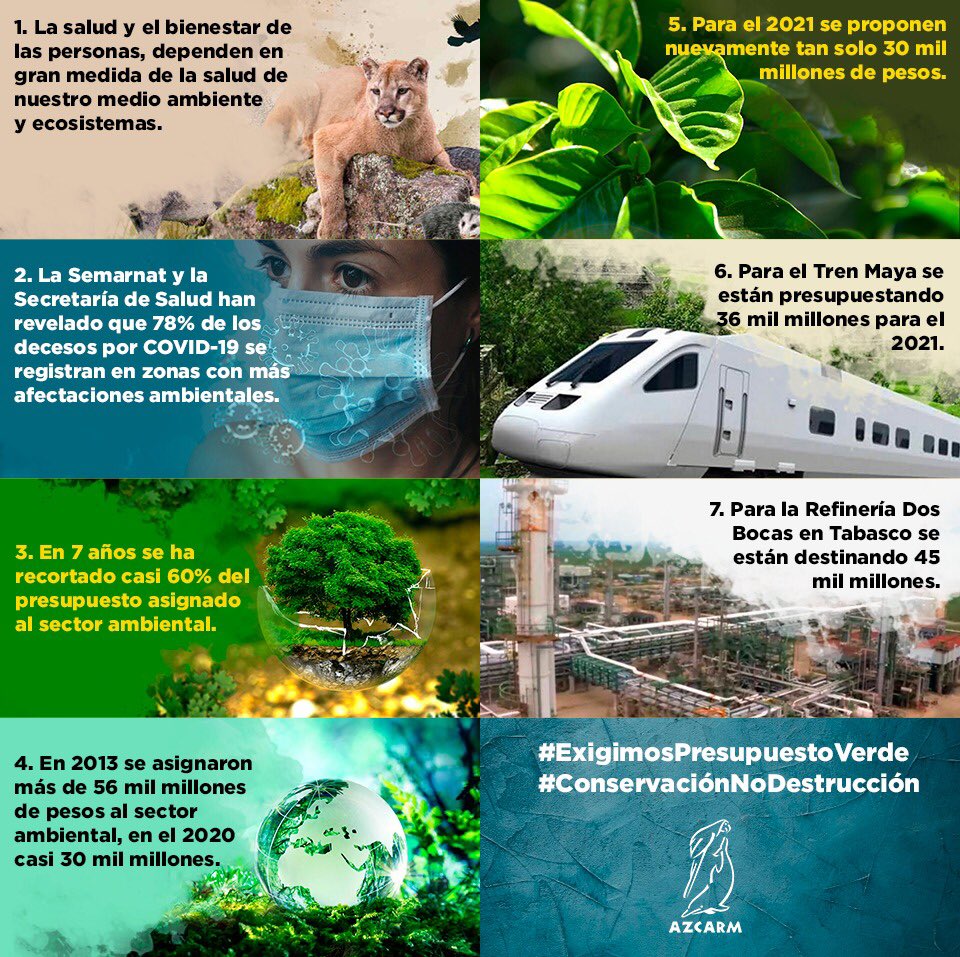 azcarmx's tweet photo. Tenemos 560 conflictos ambientales
Estamos entre los 10países con mayor deforestación del 🌎 
Tenemos el mayor número de especies en extinción
Y aún así #Presupuesto2021 asigna más recursos para #TrenMaya y #DosBocas que para medio ambiente @SEMARNAT_mx 
#ExigimosPresupuestoVerde https://t.co/znS9jLRZ5y