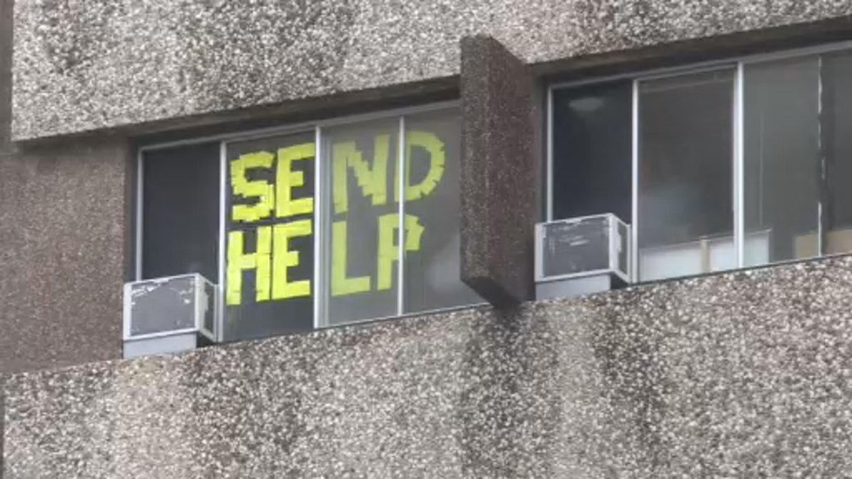 GabriellaRusk's tweet photo. A  few of the "messages" from dorm windows at Witte and Sellery, the two UW-Madison residence halls directed to quarantine for two weeks. @nbc15_madison #NBC15 https://t.co/lMG9zCmxEc