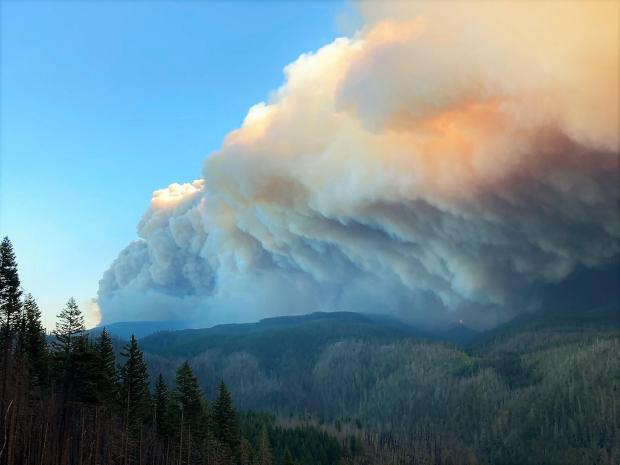 BLMOregon's tweet photo. There are 30 large fires currently burning approximately 1.2 million acres in Oregon and Washington, reports @NWCCInfo -- get the latest info 🔥➡ https://t.co/JXucOAFV44 https://t.co/cQDdw9Qi7I