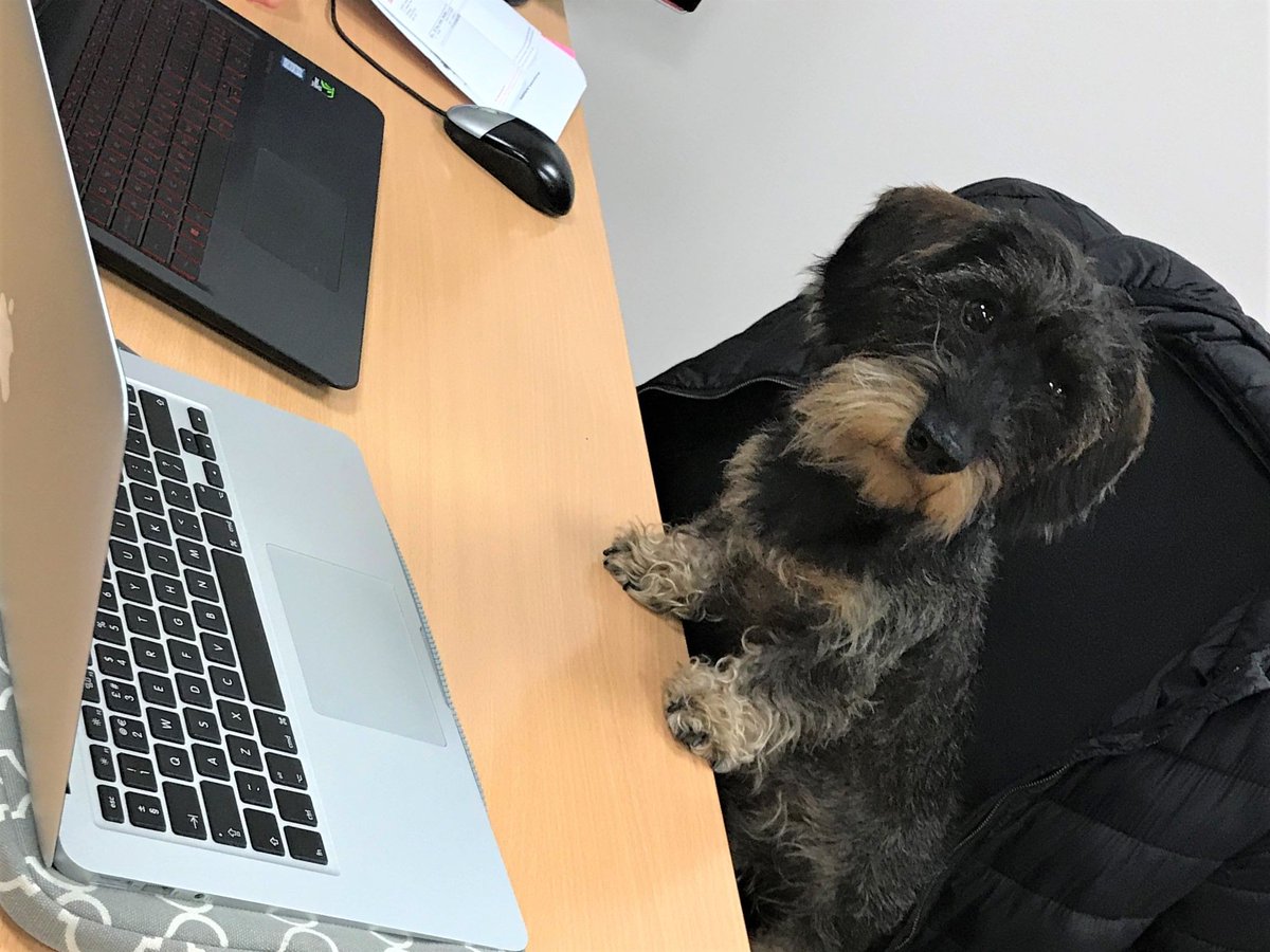 Mapix_tech's tweet photo. Roo has been busy working in the #Mapix technologies office today, keeping the team company. It's a dogs life...www.mapix.com
#velodyne #Leddartech #lidar #selfdriving #selfdrivingcar #selfdrivingvehicles #autonomous #smartcities  #robotoics #robots #ukrobotics #eufs https://t.co/12pzRBPBXg
