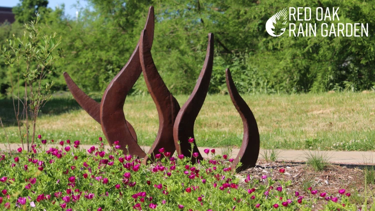 Red Oak Rain Garden tweet media