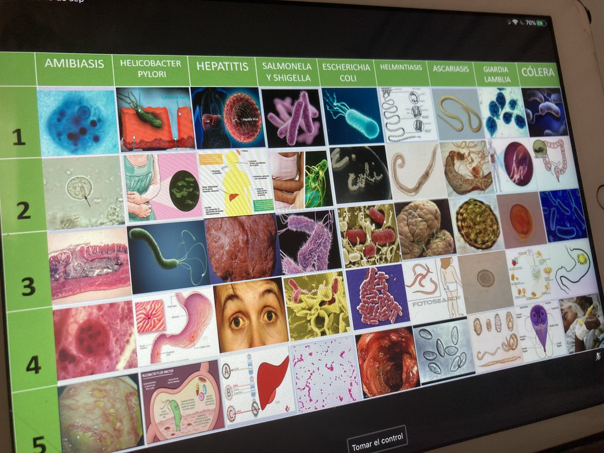 GEEIC_cede's tweet photo. Entren a jugar con nosotros JEOPARDY en teams!

#ExpoSease #GEEIC 🦠 https://t.co/TM1Ux3ix6B