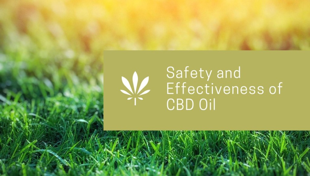 MyHarvestHome's tweet photo. #CBD oil has a lot of benefits and provides a minimal amount of risk for most people. It’s important to do the necessary research and talk to your physician. #CBDoil #wellbeing
 https://t.co/AA3DF3Ntf9 https://t.co/4TOYNGaSU4