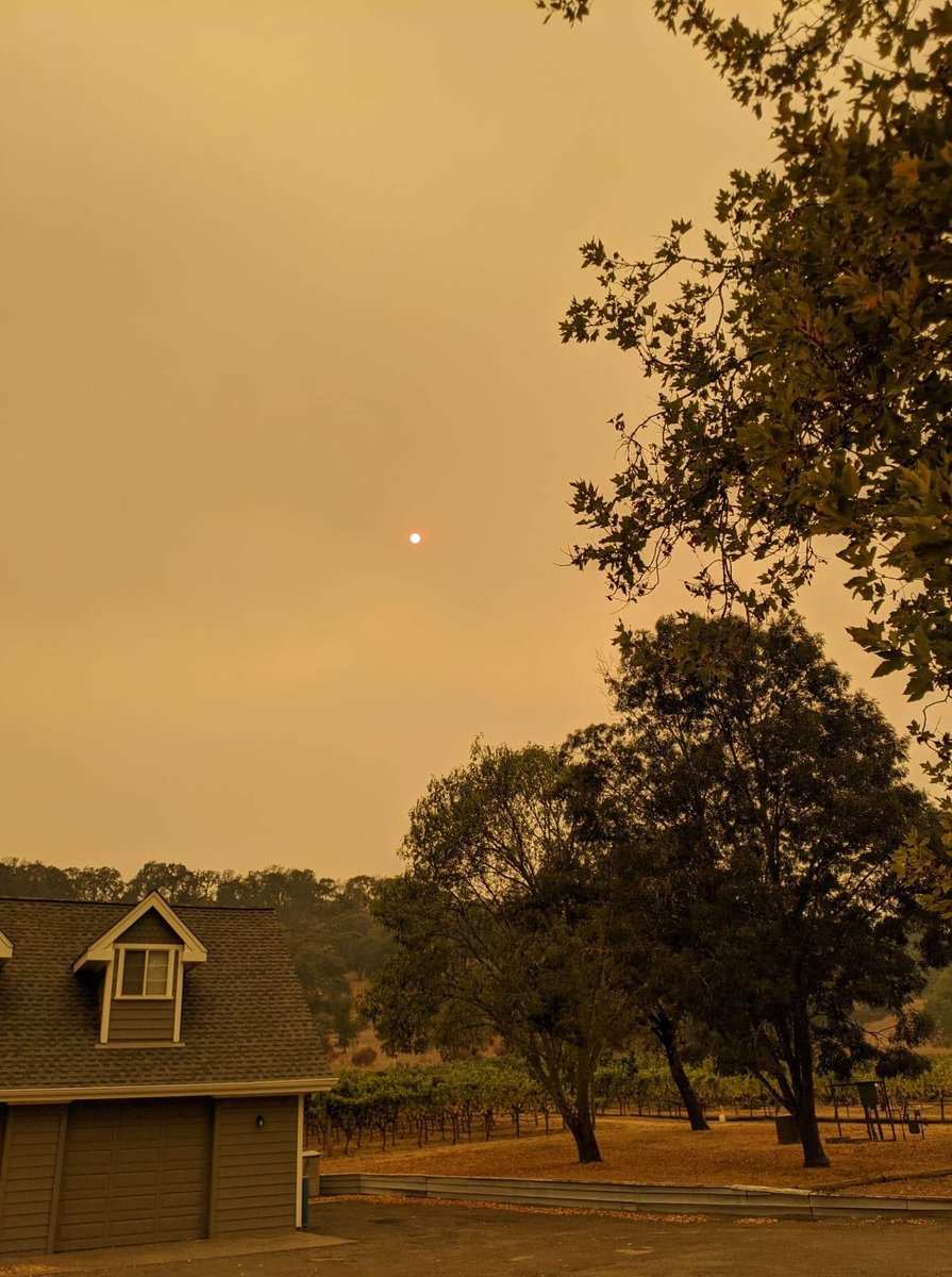 Teaching my first class in Wildfire Ecology at UBC this morning and got this pic from my parents in Sonoma, California. If this doesn’t prove why a scientific education is relevant I don’t know what does... #CaliforniaWildFire  #FireSeason2020 #ClimateCrisis #FireSmart