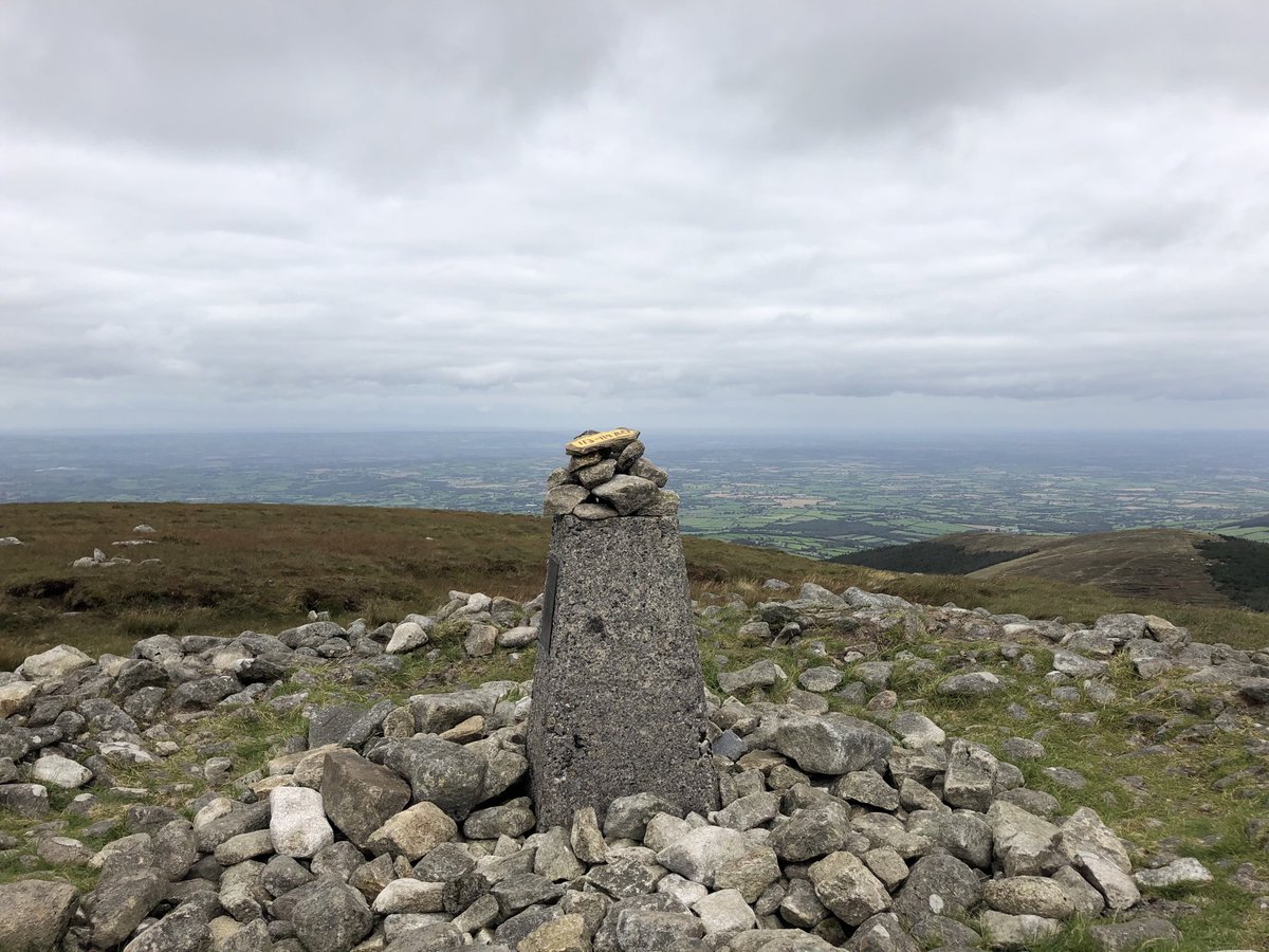 My local guides Mika, Mille &amp; Max brought me to the top of Mount Leinster today where you can see all the way to the Celtic Sea #Carlow #Wexford #irelandsancienteast