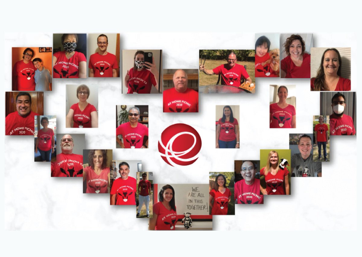 Edlong's tweet photo. Excited to announce that we hosted the first Edlong company picnic that was guaranteed to be mosquito-free! :) Here’s to good health for all - and coming together in-person in 2021! #EdlongStrong #EverybodyIn #EvenCovidCantStopUs #TeamEdlong https://t.co/Bv8o9xNLoe