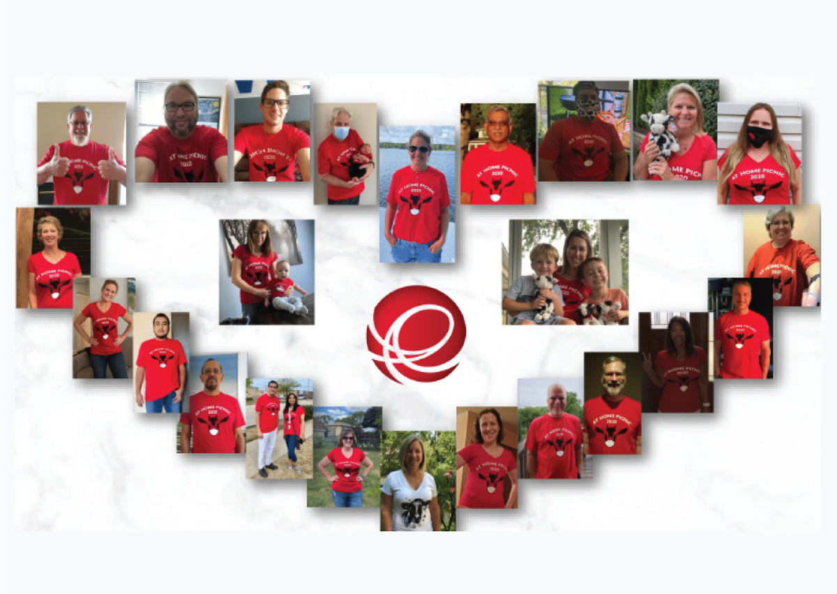 Edlong's tweet photo. Excited to announce that we hosted the first Edlong company picnic that was guaranteed to be mosquito-free! :) Here’s to good health for all - and coming together in-person in 2021! #EdlongStrong #EverybodyIn #EvenCovidCantStopUs #TeamEdlong https://t.co/Bv8o9xNLoe