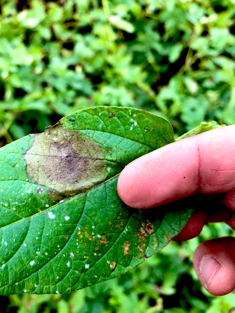 David Stead tweet media