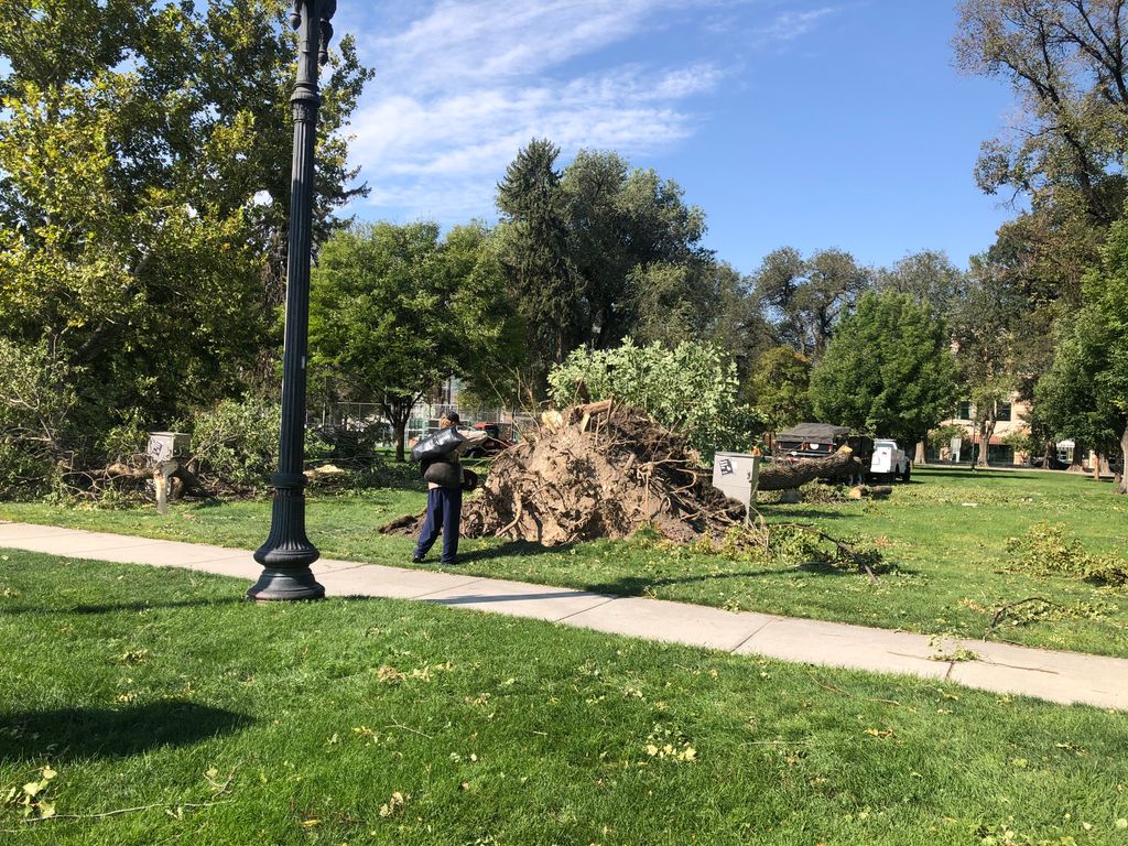 SLCFarmersMrkt's tweet photo. Downtown Farmers Market  is CANCELLED this week. Pioneer Park sustained damage in the windstorm on Tuesday. We support the Salt Lake City Parks Department in their decision to close many parks until they are safe. We are hoping to re-open next week. @slcppl @slcgov https://t.co/7XWpUbPs3o