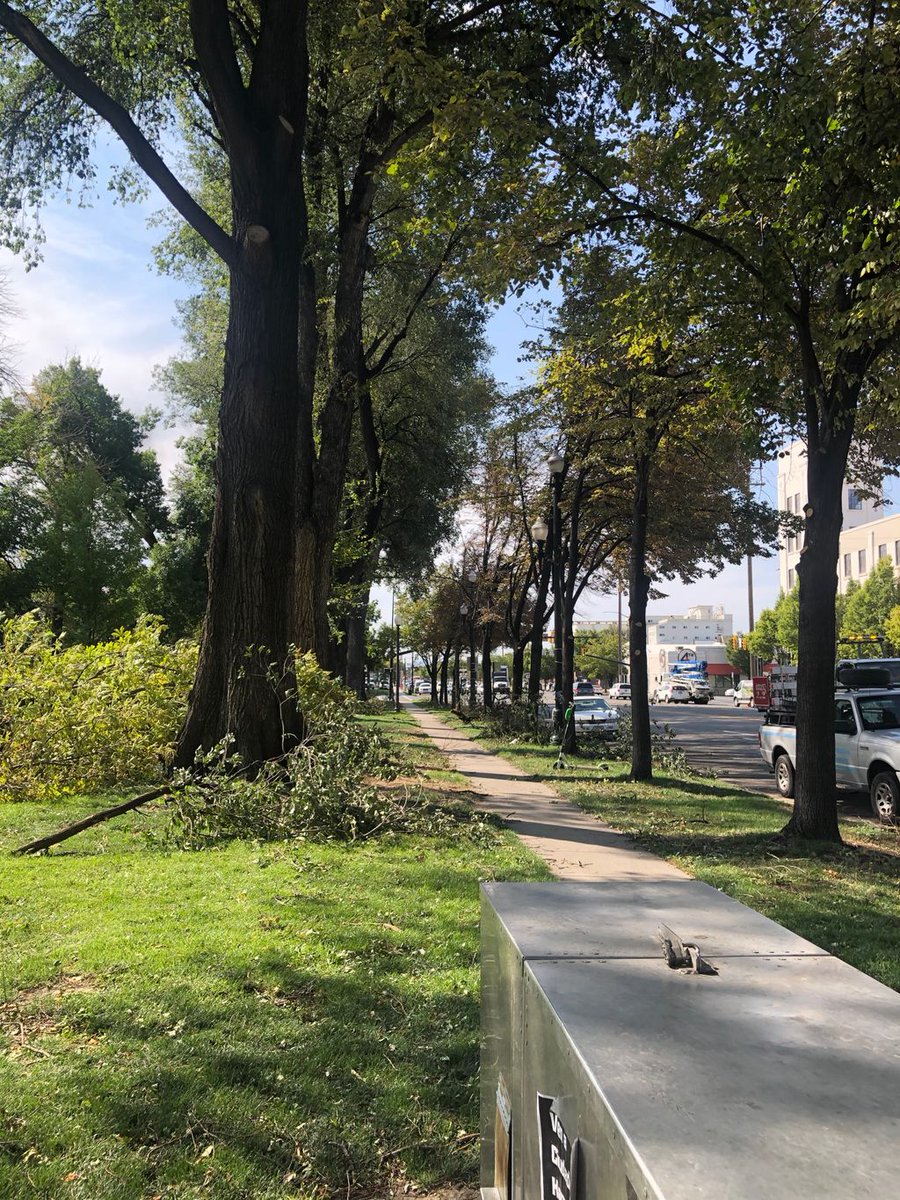 Downtown Farmers Market  is CANCELLED this week. Pioneer Park sustained damage in the windstorm on Tuesday. We support the Salt Lake City Parks Department in their decision to close many parks until they are safe. We are hoping to re-open next week. @slcppl @slcgov