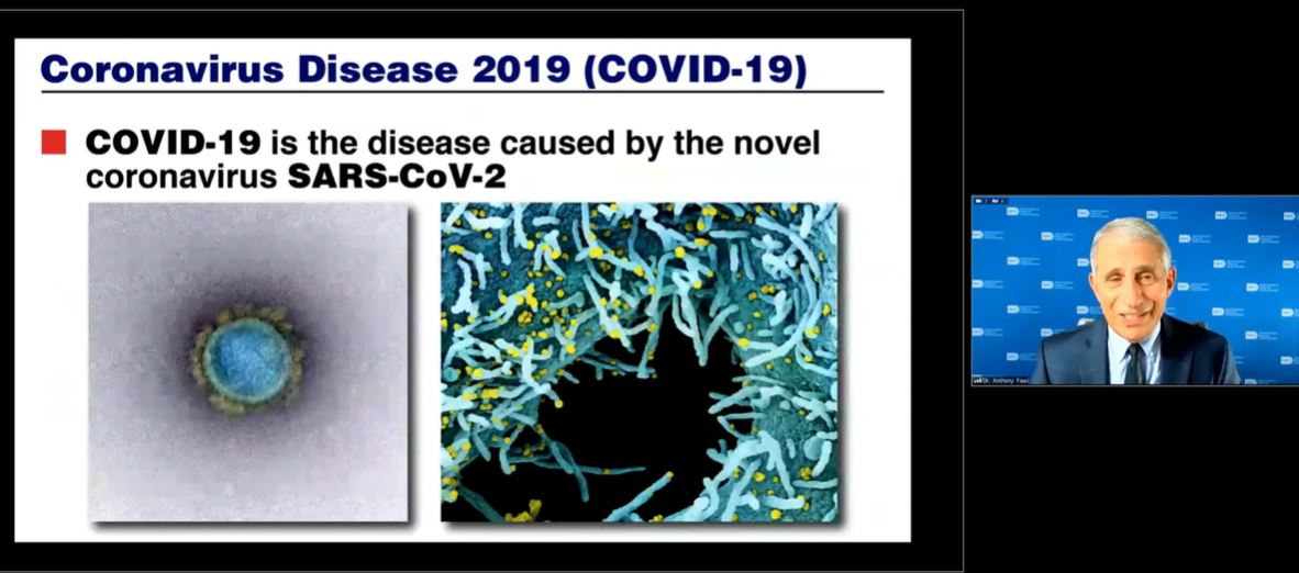 BIDMChealth's tweet photo. #ICYMI: Dr. Anthony Fauci discussed public health &amp; scientific challenges of #COVID19 at @harvardmed grand rounds. Watch the recording: https://t.co/rpIndxVmlM 
Special thanks to @BIDMC_Medicine's Dr. Sharon Wright for being a panelist &amp; Dr. @EileenEReynolds for co-hosting. #HMGR https://t.co/aVXqSNCk8k