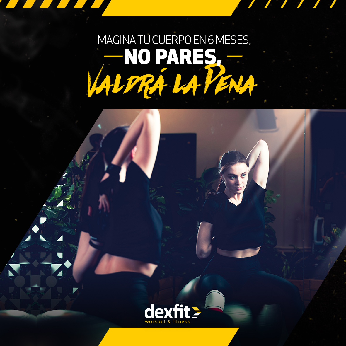 Dexfit_Workout's tweet photo. Imagina tu cuerpo dentro de 6 meses, no pares, valdrá la pena.

WhatsApp: 33 1798 3608

#dexhome https://t.co/VpA5nSD0an