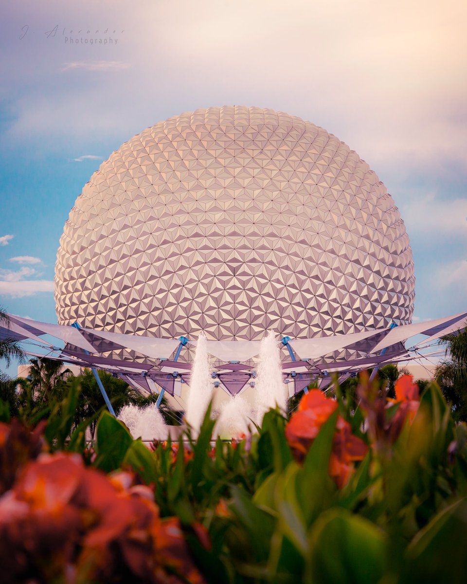 disneywjoseph's tweet photo. mentally I'm here https://t.co/sv6bU1t3Td