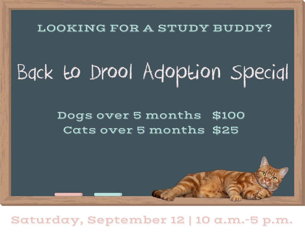 AdoptLansing.org (@cahslansing) on Twitter photo 