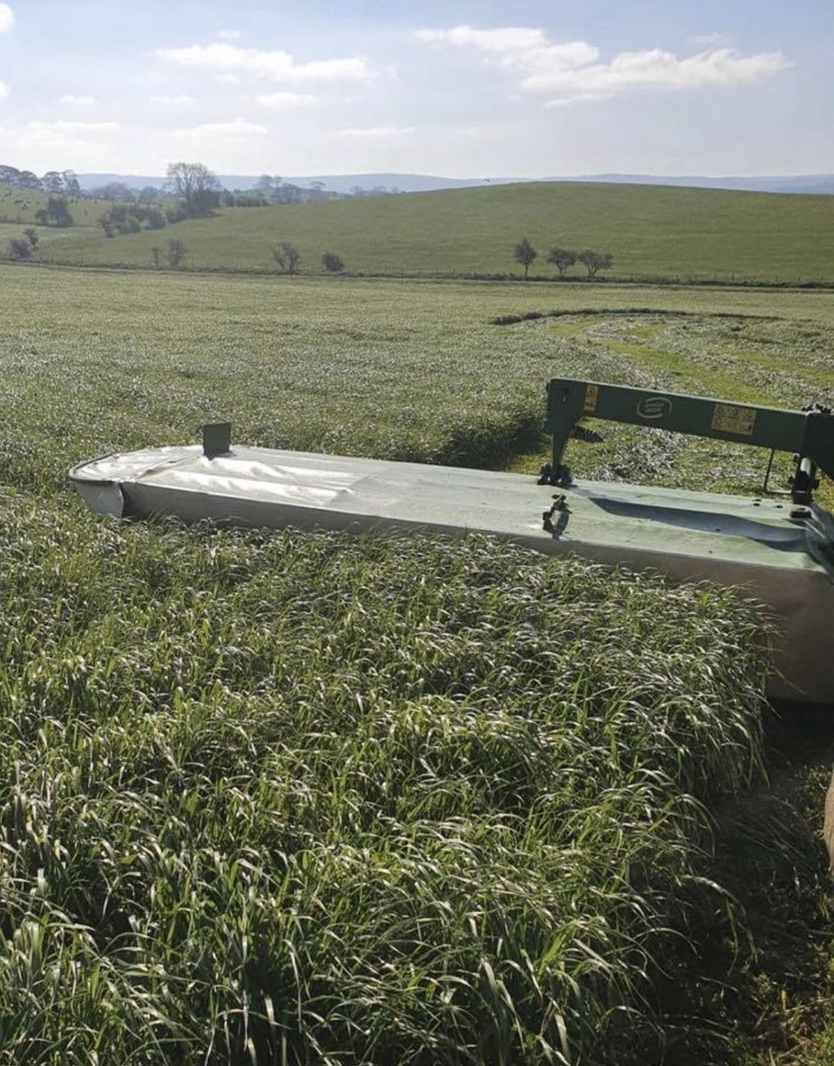 Grass Science Seeds Biogas tweet media