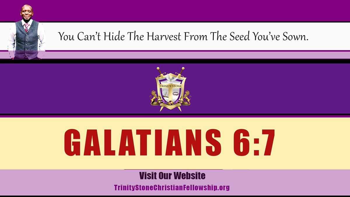 TrinityStoneCFC's tweet image. 