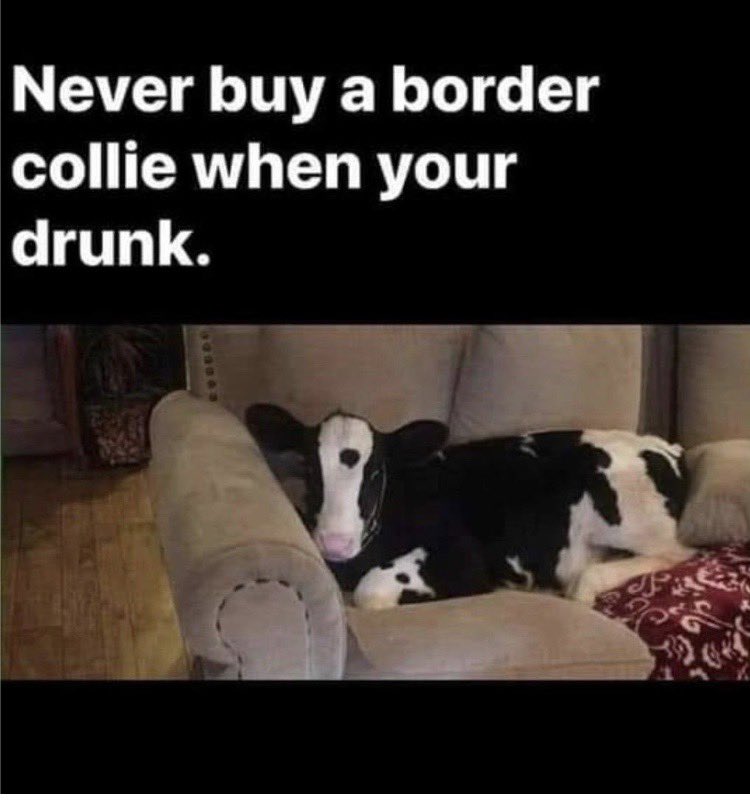 Couldn’t help but laugh at this.