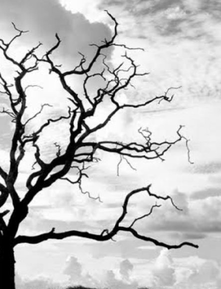 Senden önce    /   Senden sonra