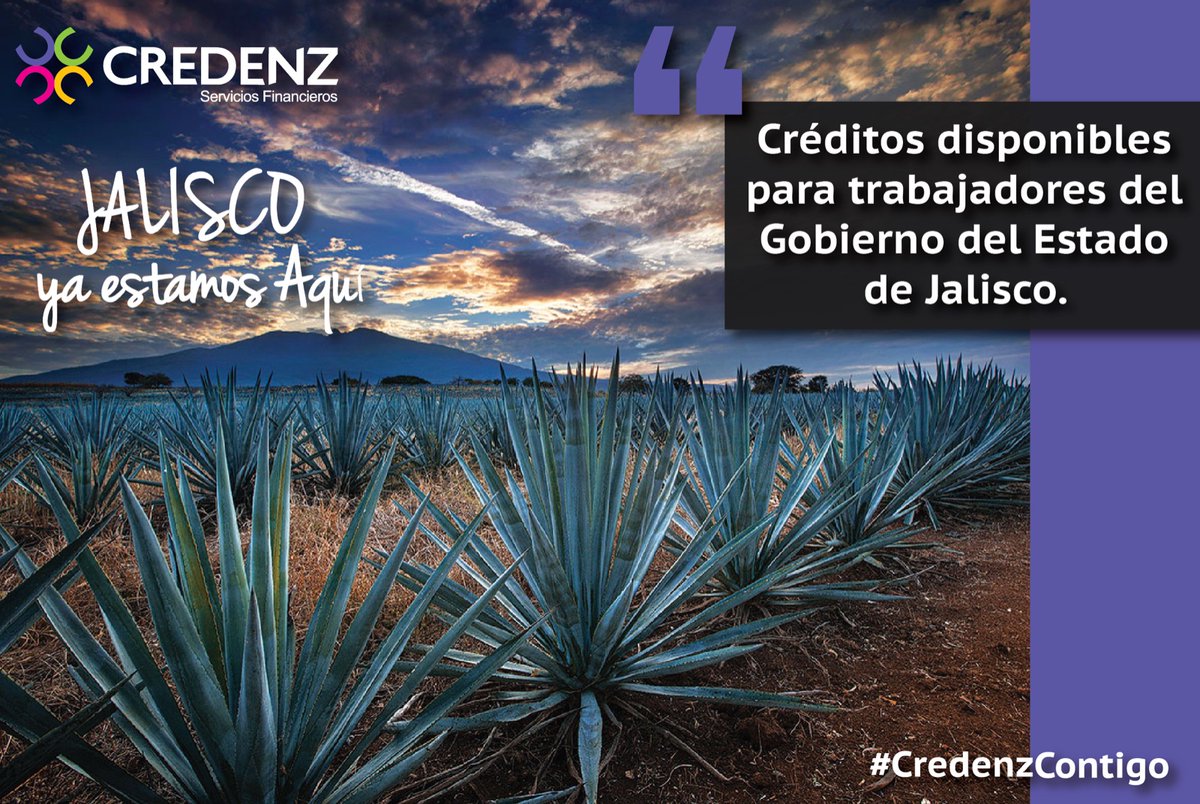 Credenz's tweet photo. Solicita un crédito con descuento vía nómina en https://t.co/fuFHSJuNz7 https://t.co/U0boljfjes