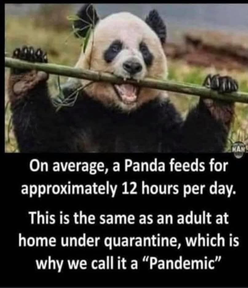 Heavyglare's tweet image. This explains the unexpected weight gain this past 6 months...
#pandemic #atetoomuch #needtogetout #heavyglare