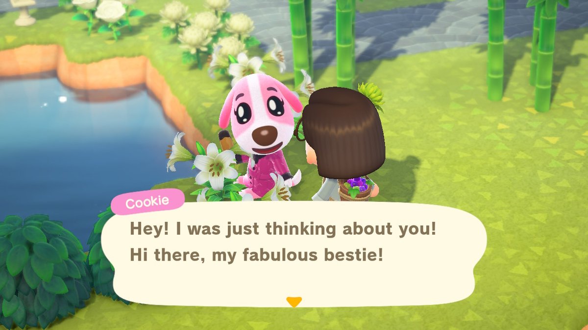Mintycranberry's tweet photo. I finally got cookies photo so i did a celebratory photoshoot :3 #AnimalCrossing https://t.co/2nXitx4abr